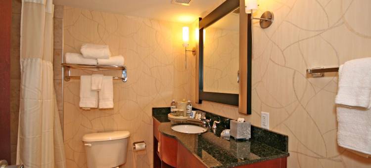 格林斯伯勒希尔顿逸林酒店(DoubleTree by Hilton Greensboro)图片
