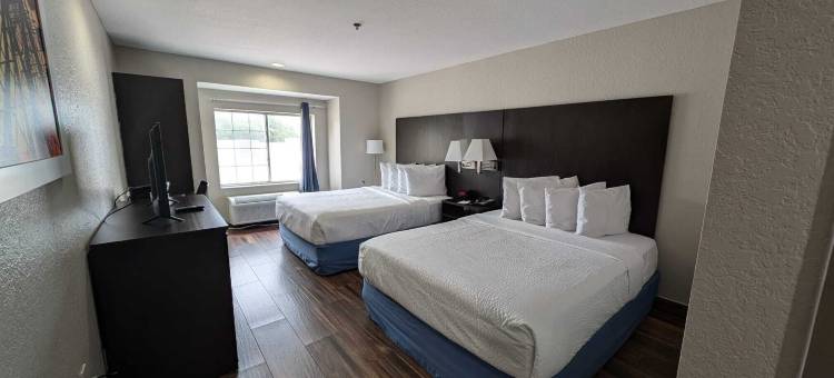 坦帕雷蒙德詹姆斯体育场温德姆戴斯套房酒店(Days Inn & Suites by Wyndham Tampa / Raymond James Stadium)图片