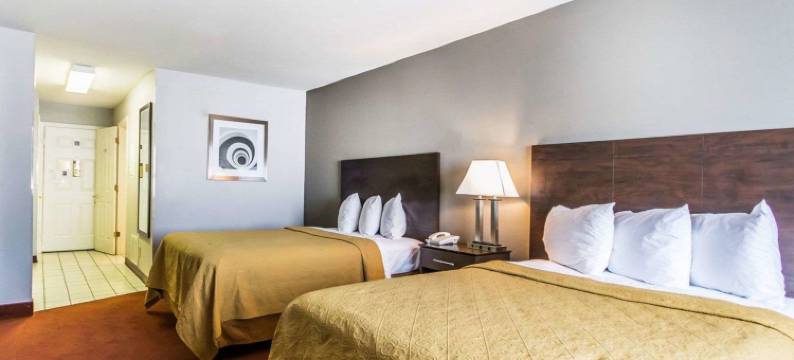 大学机场凯艺套房酒店(Quality Inn & Suites University-Airport)图片