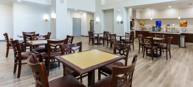 大学路舒适套房酒店(Comfort Suites University Drive)图片