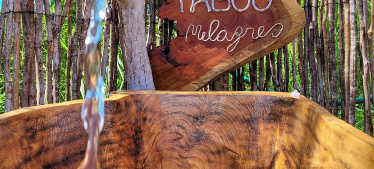 Taboo Milagres图片