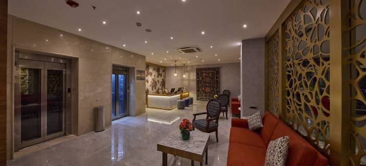 金郁金香提鲁帕提(Golden Tulip Tirupati)图片