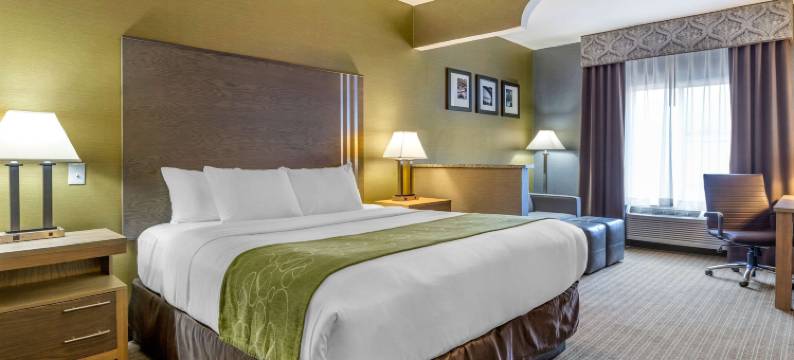 底特律绍斯盖特舒适套房(Comfort Suites Southgate-Detroit)图片