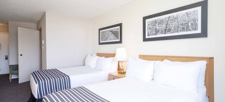 麦克布莱德桑德曼汽车旅馆(Sandman Inn McBride)图片