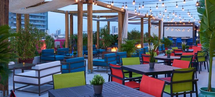 塞雷纳冒险酒店-希尔顿启缤精选酒店(Serena Hotel Aventura Miami, Tapestry Collection by Hilton)图片