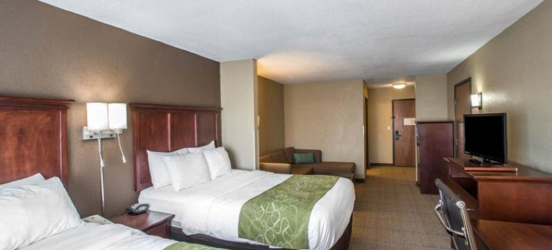 舒适套房酒店-哥伦比亚大学城(Comfort Suites Columbia - University Area)图片