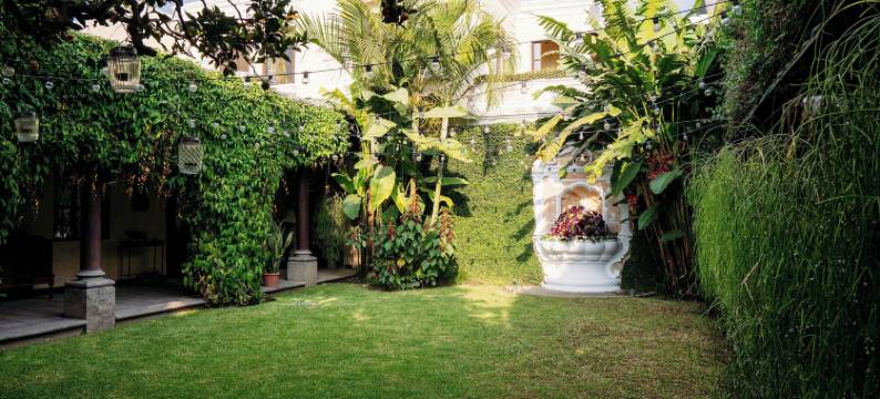 贵族客栈(Casa Noble Hotel)图片