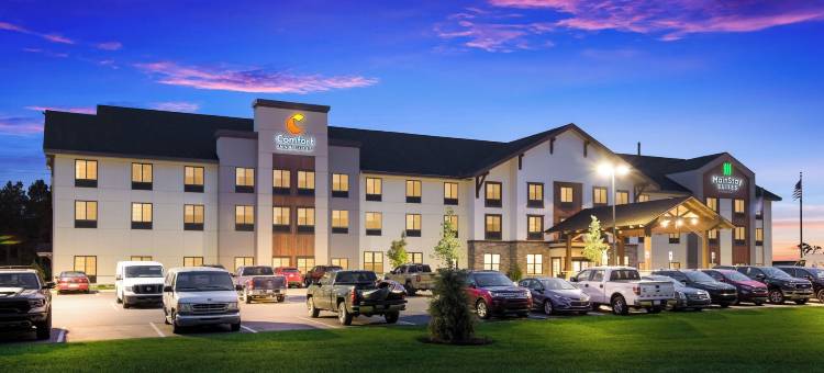 舒适套房酒店盖洛德(Comfort Inn & Suites Gaylord)图片