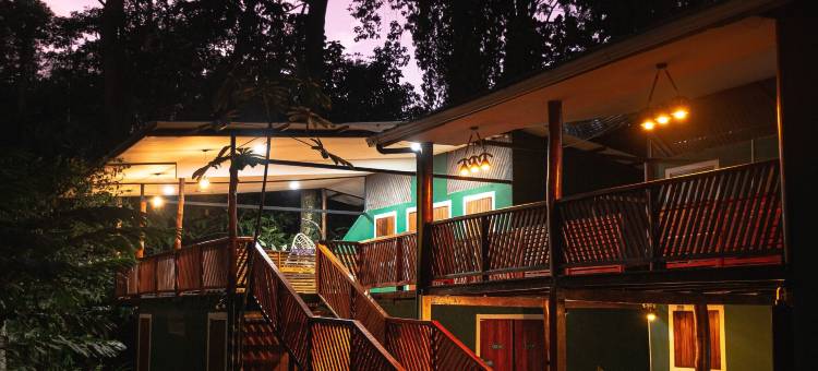 绿色丛林屋(Hotel Boutique the Green Jungle House)图片