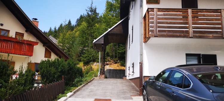 水晶玫瑰公寓(Apartment Crystal Rose)图片