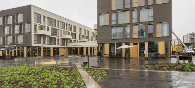 Limehome波茨坦安娜玛丽·沃尔夫广场(Limehome Potsdam Annemarie-Wolff-Platz)图片