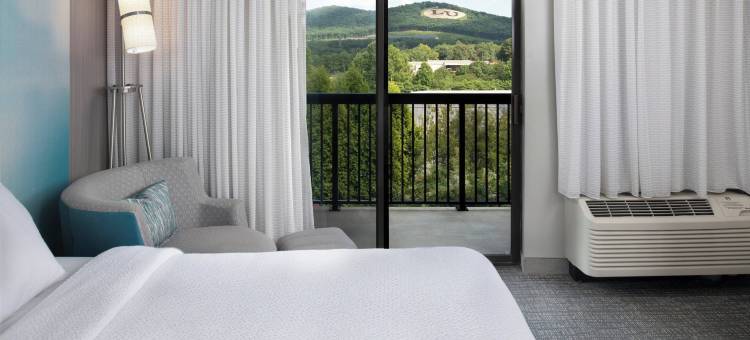 林奇堡万怡酒店(Courtyard Lynchburg)图片