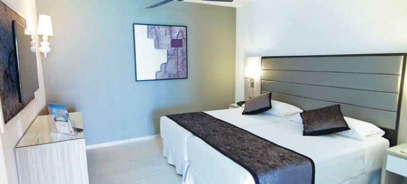 美罗尔拉斯里乌帕拉塞酒店(Hotel Riu Palace Meloneras)图片