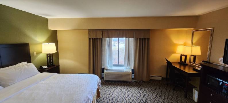 基塔宁蔚景温德姆酒店(Wingate by Wyndham Kittanning)图片