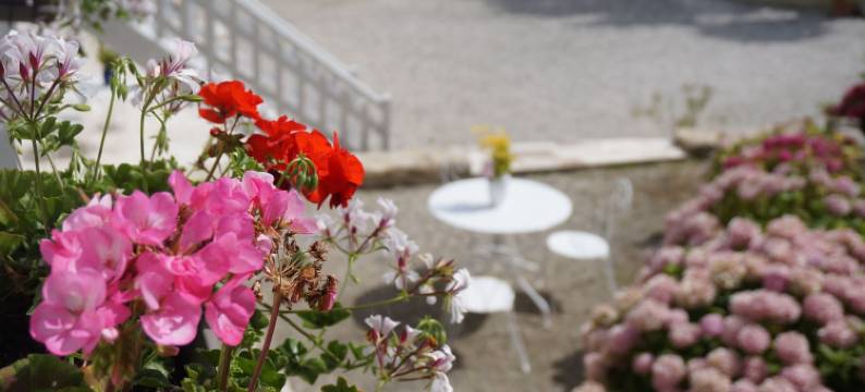 乐克洛斯圣让住宿加早餐旅馆(Le Clos Saint Jean)图片