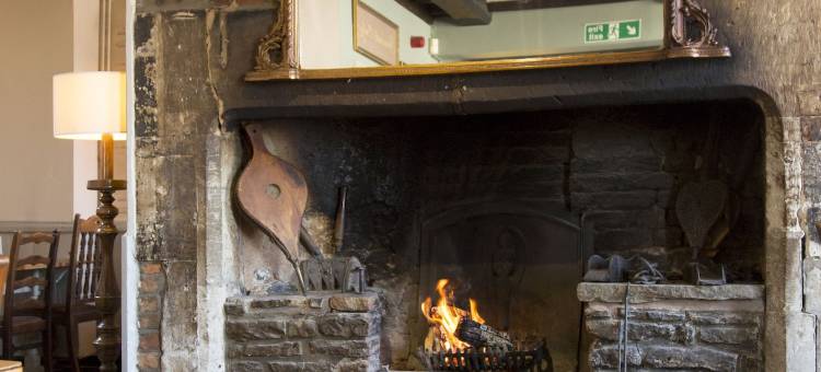 红狮住宿加早餐旅馆(The Red Lion)图片