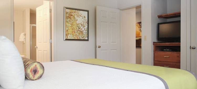 威廉斯堡度假乡村旅馆(Vacation Village at Williamsburg)图片