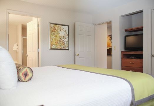 Vacation Village at Williamsburg Hotel Overview