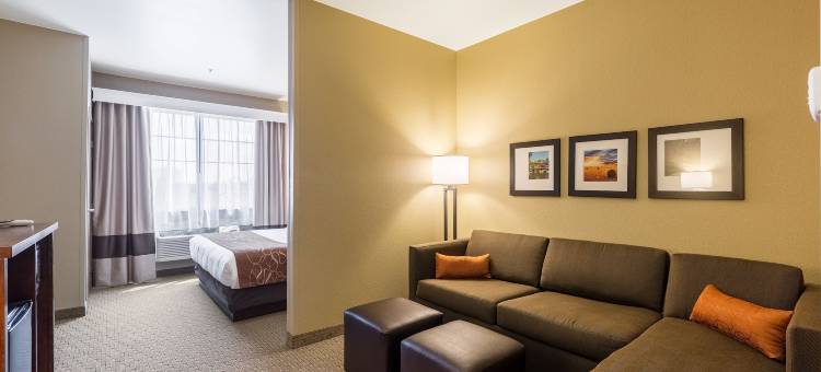 伯灵顿舒适套房酒店(Comfort Suites Burlington)图片