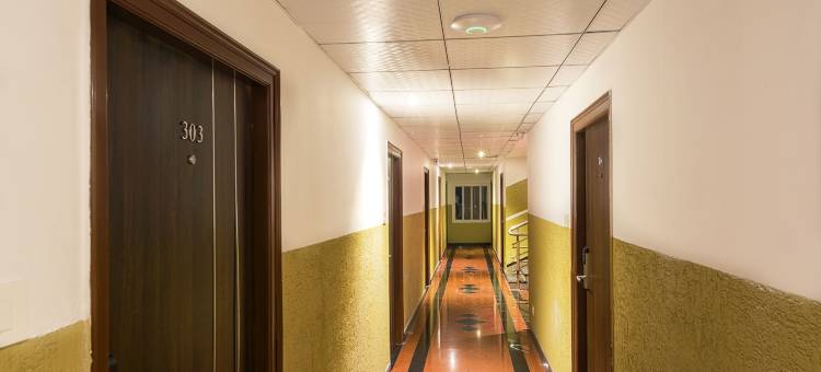 Treebo帝国(Treebo Empire)图片