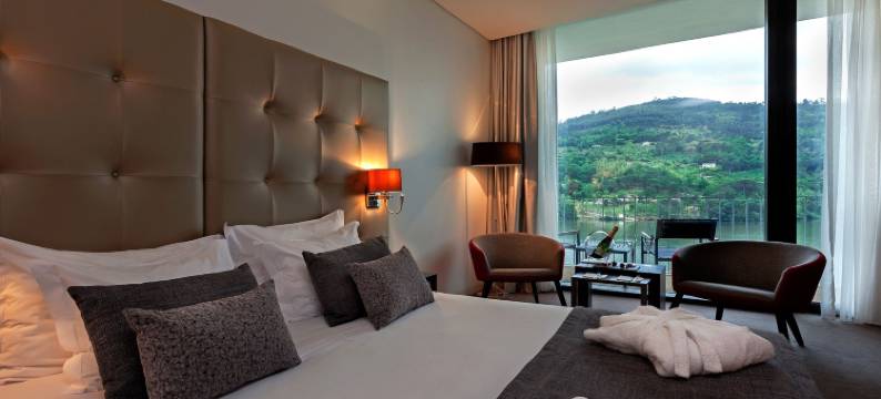 杜罗河谷皇家酒店&Spa(Douro Royal Valley Hotel & Spa)图片