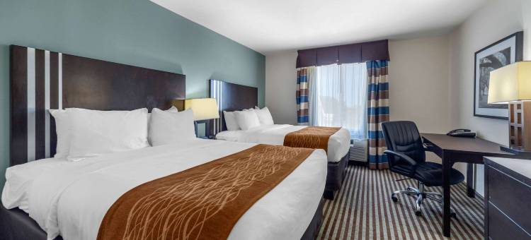佩里I-35舒适套房酒店(Comfort Inn & Suites Perry I-35)图片