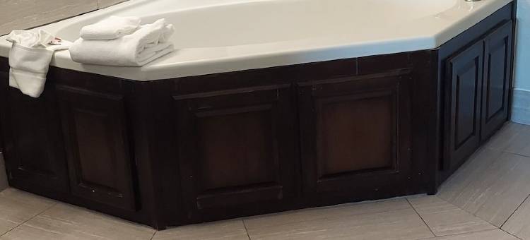 胡佛-伯明翰麦客达套房酒店(Microtel Inn & Suites by Wyndham Hoover/Birmingham)图片