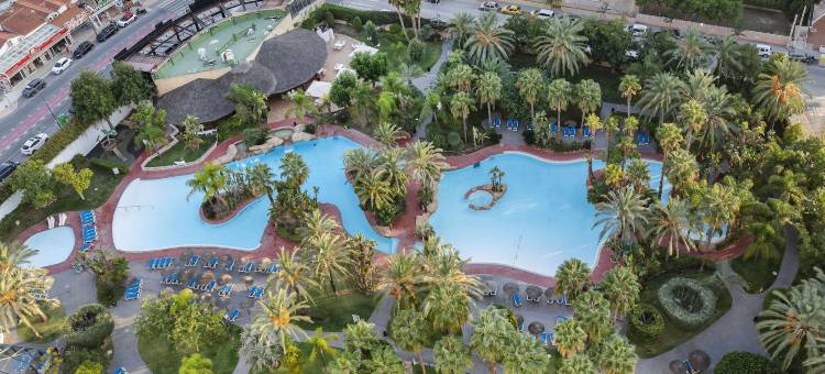 贝尼东美利亚酒店(Melia Benidorm)图片