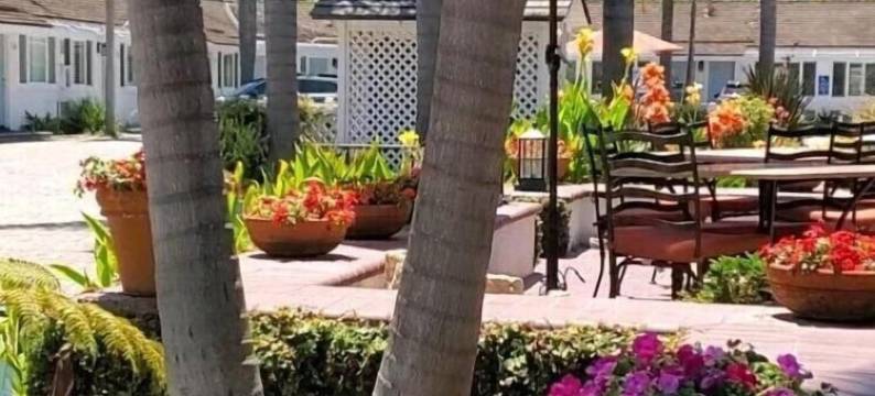 玛丽娜海滩汽车旅馆(Marina Beach Motel)图片