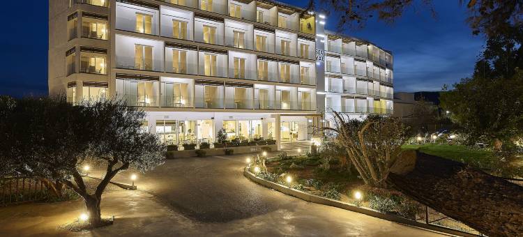 希西亚皇家酒店(Vasia Royal Hotel)图片