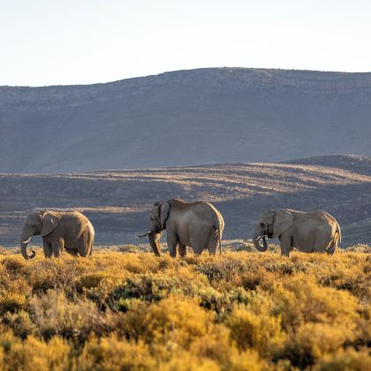 南非开普敦7日6晚拼小团