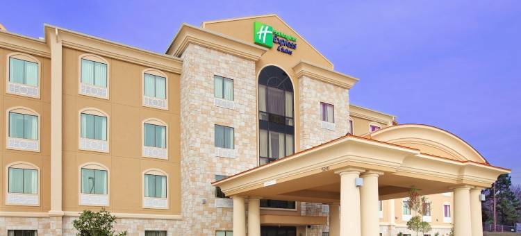 智选假日套房酒店特克萨卡纳东(Holiday Inn Express & Suites TEXARKANA EAST by IHG)图片