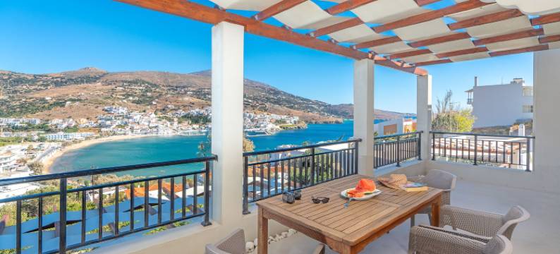 贝维德列安德洛斯公寓酒店(Belvedere Andros)图片