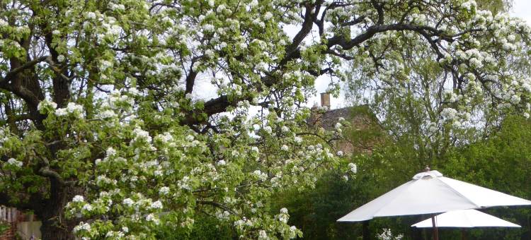 霍华阿姆斯酒店(The Howard Arms)图片
