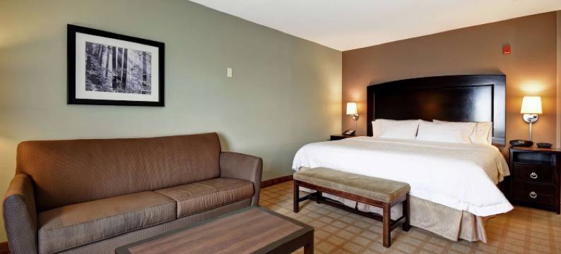 底特律坎顿欢朋套房酒店(Hampton Inn & Suites Detroit-Canton)图片