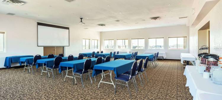 舒适套房酒店(Comfort Inn & Suites)图片