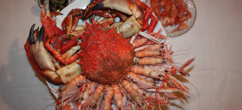 克拉斯克尔家庭旅馆旅馆(Les Chambres d'hôtes de Kérasquer)图片