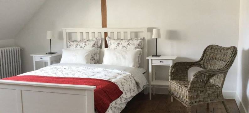 马洛尼尔斯酒店(Les Marronniers)图片