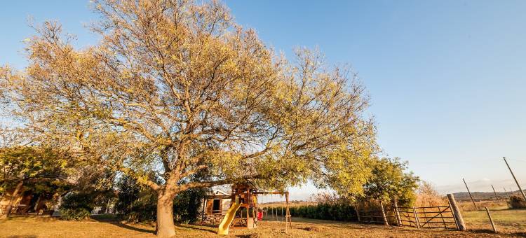 埃尔莫利诺农庄酒店(El Molino Agriturismo)图片