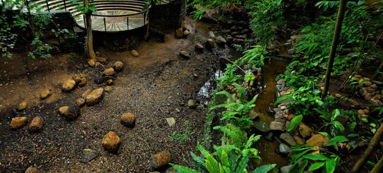 乌达瓦拉瓦维野生动物园大度假村(Grand Udawalawe Safari Resort)图片