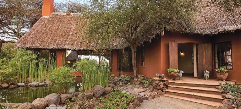 塔威山林小屋(Tawi Lodge)图片