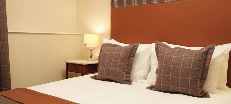 唐赖特加布勒(Downright Gabbler)图片