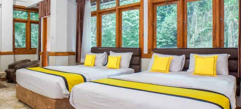 特塔纱丽耐斯旅馆(Tirtasari Nice Guest House)图片