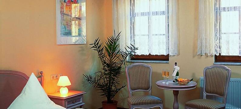 城门酒店(Hotel Zum Stadttor)图片