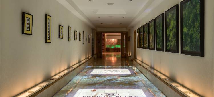 Crowne Plaza 都柏林 - 诺斯伍德(Crowne Plaza Dublin Airport)图片