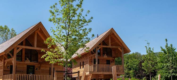 布拉班特的健康之家有私人水疗(Wellness Home in Brabant with Private Spa)图片