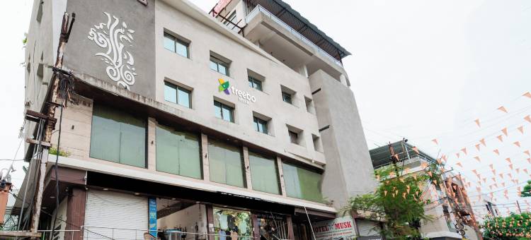 Treebo 麝香(Treebo Musk)图片