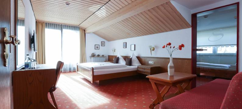 ANA Panorama, Trademark Collection by Wyndham图片