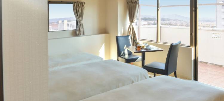 新盖亚酒店-饭冢(Hotel New Gaea Iizuka)图片