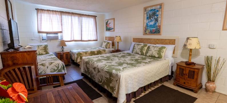 考艾岛棕榈酒店(Kauai Palms Hotel)图片